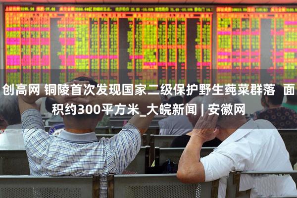 创高网 铜陵首次发现国家二级保护野生莼菜群落  面积约300平方米_大皖新闻 | 安徽网