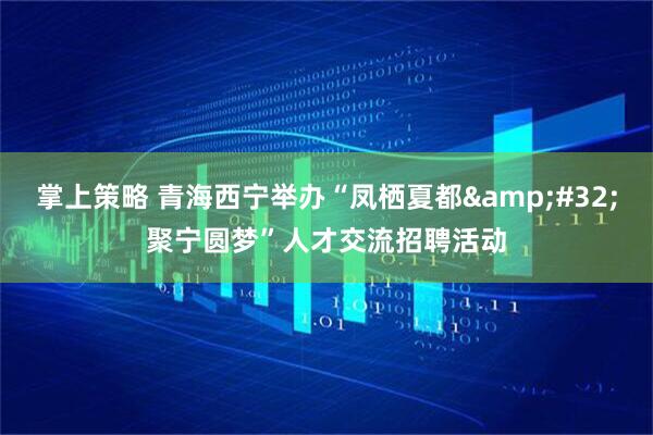 掌上策略 青海西宁举办“凤栖夏都&#32;聚宁圆梦”人才交流招聘活动