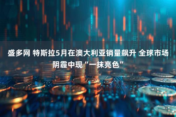 盛多网 特斯拉5月在澳大利亚销量飙升 全球市场阴霾中现“一抹亮色”