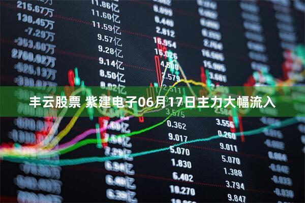 丰云股票 紫建电子06月17日主力大幅流入