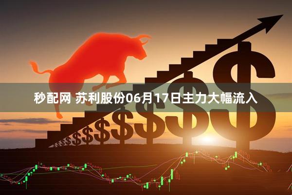 秒配网 苏利股份06月17日主力大幅流入