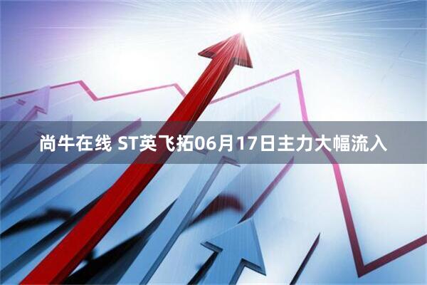 尚牛在线 ST英飞拓06月17日主力大幅流入