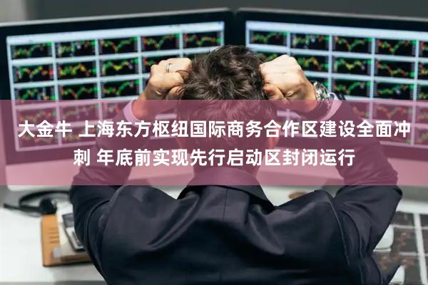 大金牛 上海东方枢纽国际商务合作区建设全面冲刺 年底前实现先行启动区封闭运行