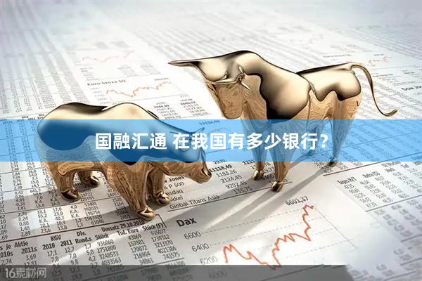 国融汇通 在我国有多少银行？