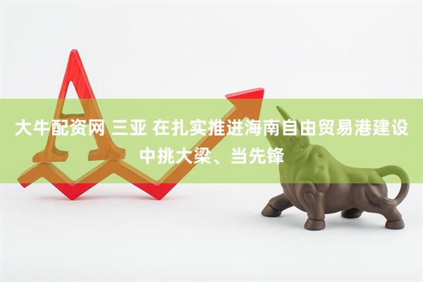 大牛配资网 三亚 在扎实推进海南自由贸易港建设中挑大梁、当先锋