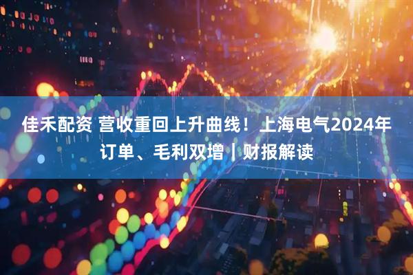 佳禾配资 营收重回上升曲线！上海电气2024年订单、毛利双增｜财报解读