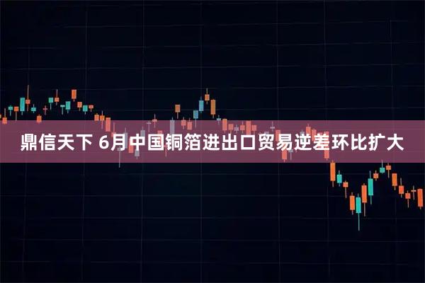 鼎信天下 6月中国铜箔进出口贸易逆差环比扩大