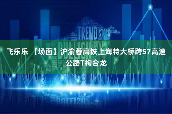 飞乐乐 【场面】沪渝蓉高铁上海特大桥跨S7高速公路T构合龙